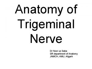 Anatomy of Trigeminal Nerve Dr Noor us Saba