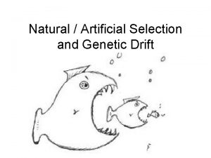 Natural Artificial Selection and Genetic Drift Outline Charles