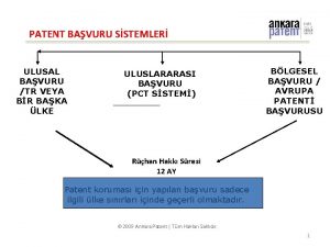 PATENT BAVURU SSTEMLER ULUSAL BAVURU TR VEYA BR