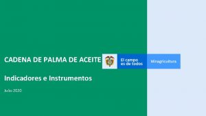 CADENA DE PALMA DE ACEITE Indicadores e Instrumentos
