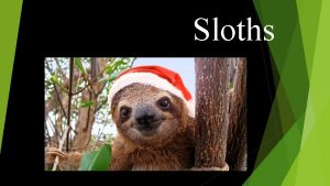Sloths Functio breathing movement ns Sloths can move