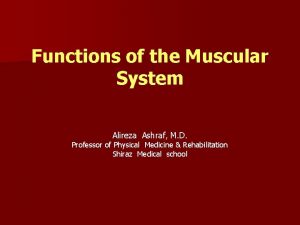 Functions of the Muscular System Alireza Ashraf M