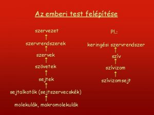 Az emberi test felptse szervezet Pl szervrendszerek keringsi