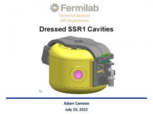 Technical Division SRF Department Dressed SSR 1 Cavities