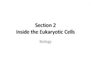 Section 2 Inside the Eukaryotic Cells Biology Cell