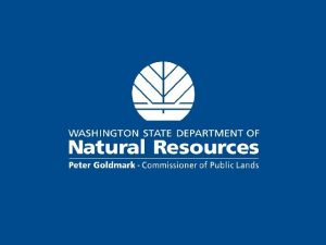 Washington DNR Regulating Prescribed Burning Mark Gray Assistant