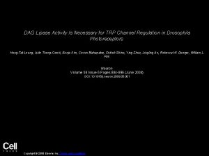 DAG Lipase Activity Is Necessary for TRP Channel