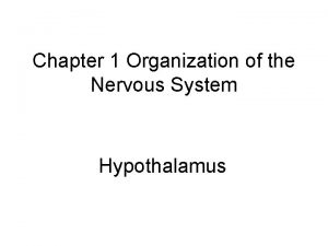 Chapter 1 Organization of the Nervous System Hypothalamus