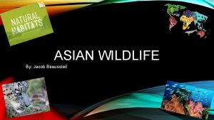 ASIAN WILDLIFE By Jacob Beausoleil GEOGRAPHY Within Asia