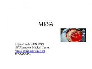 MRSA Regina Livshits RN MSN NYU Langone Medical