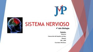 SISTEMA NERVIOSO 4ao Biologa Temario Neurona Generacin del