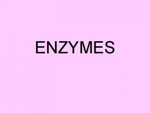 ENZYMES Why care about enzymes Enzymes are necessary