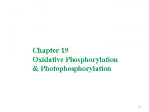 Chapter 19 Oxidative Phosphorylation Photophosphorylation 1 Oxidative Phosphorylation