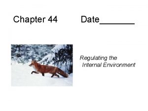 Chapter 44 Date Regulating the Internal Environment Homeostasis