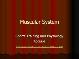 Muscular System Sports Training and Physiology Kociuba http