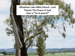 Whatshan lake bible school