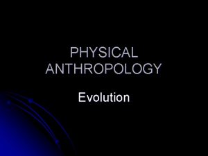 PHYSICAL ANTHROPOLOGY Evolution Evolution Evolution Whos What Creationist