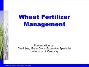 Wheat Fertilizer Management Presentation by Chad Lee Grain