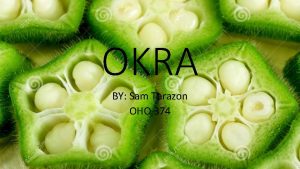 OKRA BY Sam Tarazon OHO 374 Planting Warm