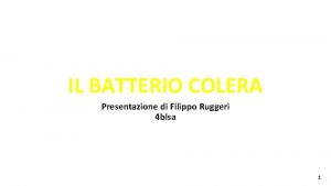 IL BATTERIO COLERA Presentazione di Filippo Ruggeri 4