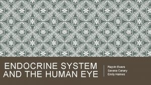 ENDOCRINE SYSTEM AND THE HUMAN EYE Rayvin Ewers