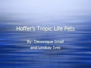 Hoffers Tropic Life Pets By Devonique Small and