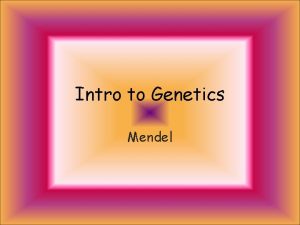 Intro to Genetics Mendel Mendel Father of Genetics