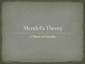 Mendels Theory A Theory of Heredity Terms to