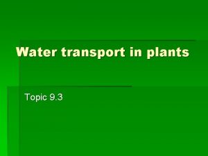 Water transport in plants Topic 9 3 Xylem