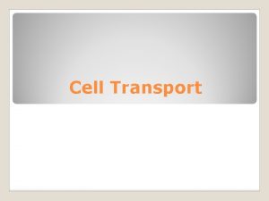 Cell Transport https www youtube comwatch vXscnQSm Fo