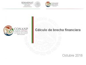 Clculo de brecha financiera Octubre 2018 Esquema conceptual