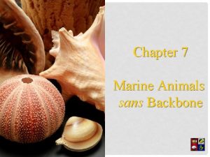 Chapter 7 Marine Animals sans Backbone WHERE ARE