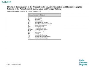 Effects of Reinnervation of the Triceps Brachii on