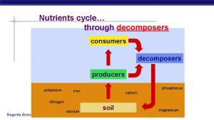 Nutrients cycle through decomposers consumers decomposers producers potassium