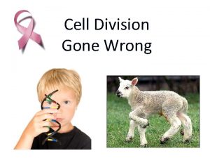 Cell Division Gone Wrong Mutations n n A