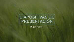 DIAPOSITIVAS DE PRESENTACIN Mirjam Nilsson SOBRE NOSOTROS 20