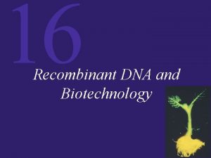 16 Recombinant DNA and Biotechnology 16 Recombinant DNA