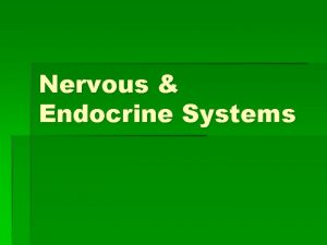 Nervous Endocrine Systems Nervous system 2 parts Central