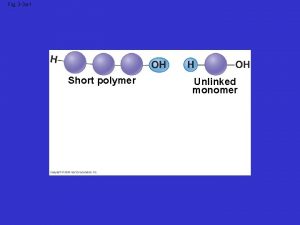 Fig 3 3 a1 Short polymer Unlinked monomer