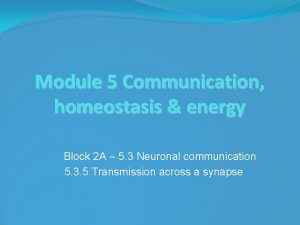 Module 5 Communication homeostasis energy Block 2 A