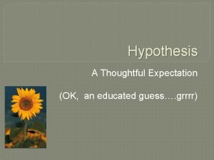 Hypothesis A Thoughtful Expectation OK an educated guess