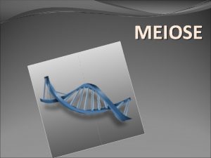 MEIOSE PRFASE I LEPTTENO condensao dos cromossomos embora