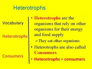 Heterotrophs Heterotrophs are the Vocabulary organisms that rely