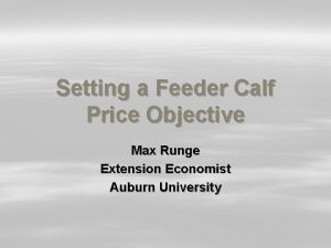 Setting a Feeder Calf Price Objective Max Runge