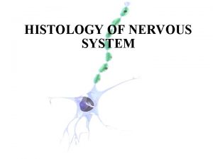 HISTOLOGY OF NERVOUS SYSTEM Nervous System The most