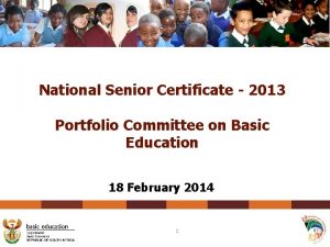National Senior Certificate 2013 Portfolio Committee on Basic