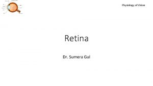 Physiology of Vision Retina Dr Sumera Gul Learning