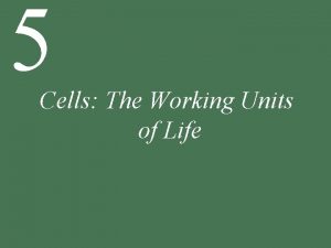 5 Cells The Working Units of Life 5 5 Cells The Working Units of Life 5