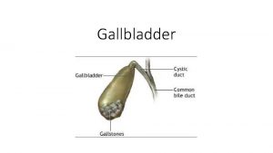 Gallbladder What it is Digestive disease that is