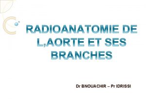 Dr BNOUACHIR Pr IDRISSI PLAN INTRODUCTION RAPPEL ANATOMIQUE